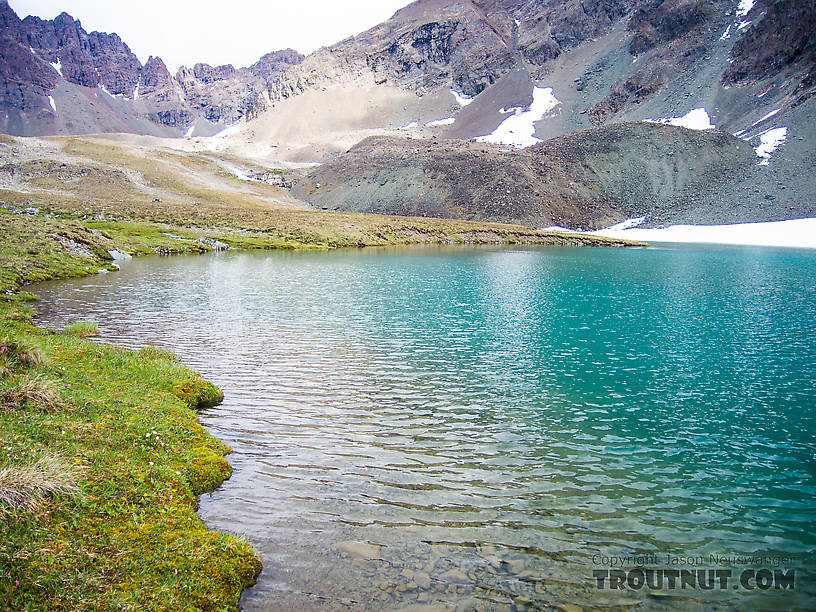 Lake atop Alpine Creek From Clearwater Mountains in Alaska.