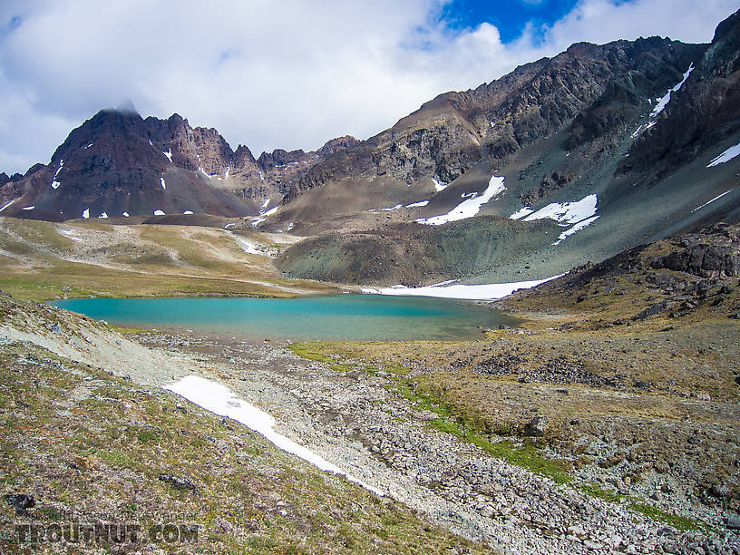 Beginning of Alpine Creek From Clearwater Mountains in Alaska.