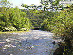  From Willowemoc Creek in New York.