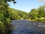  From Willowemoc Creek in New York.