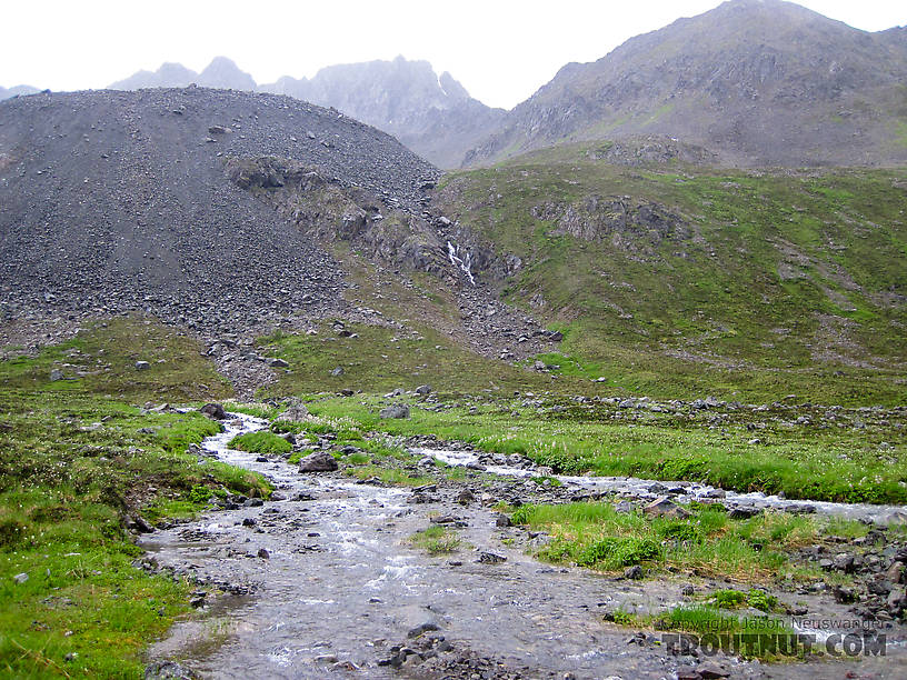 Snack break spot From Clearwater Mountains in Alaska.