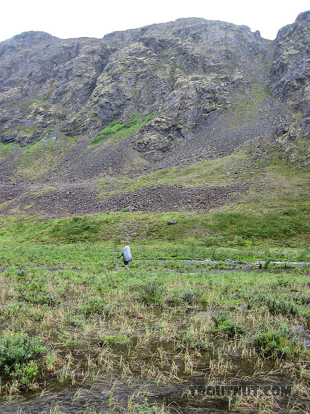 Crossing flooded Windy Creek below the beaver dam From Clearwater Mountains in Alaska.