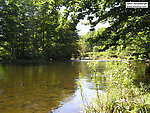  From Willowemoc Creek in New York.