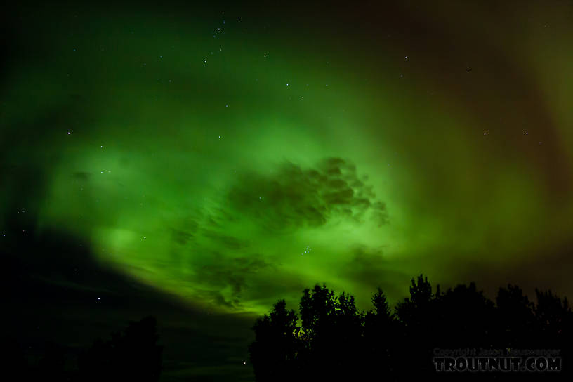  From UAF Large Animal Research Station in Alaska.