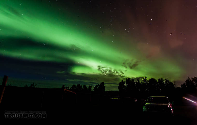  From UAF Large Animal Research Station in Alaska.