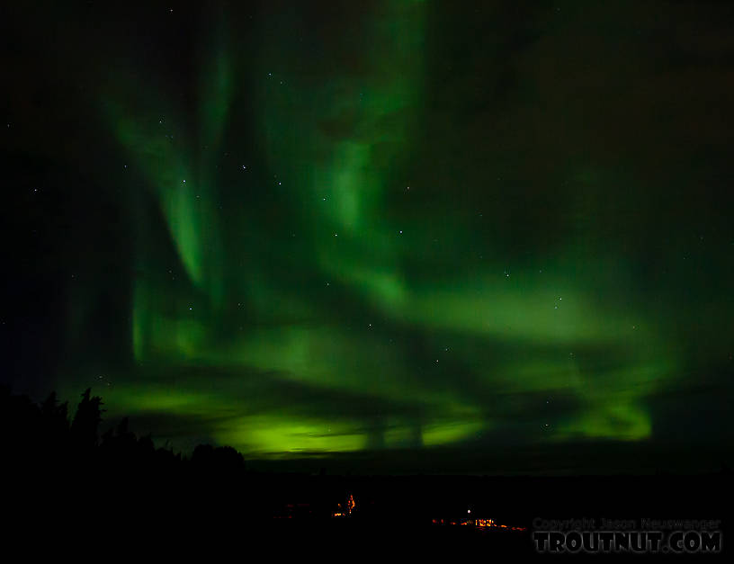  From UAF Large Animal Research Station in Alaska.