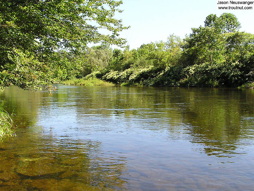  From Willowemoc Creek in New York.