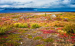  From Denali Highway in Alaska.