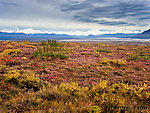 Alaska Range and fall colors From Denali Highway in Alaska.