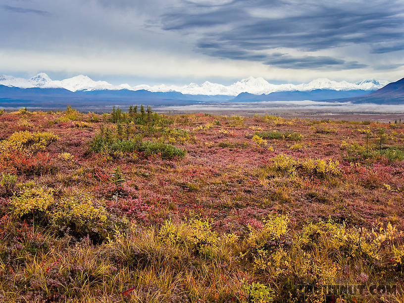 Alaska Range and fall colors From Denali Highway in Alaska.