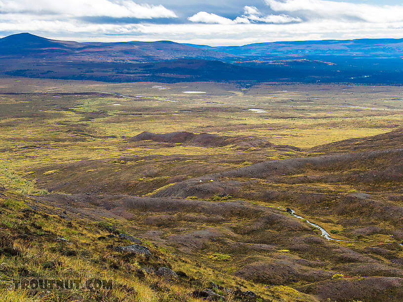 Campsite from above From Clearwater Mountains in Alaska.