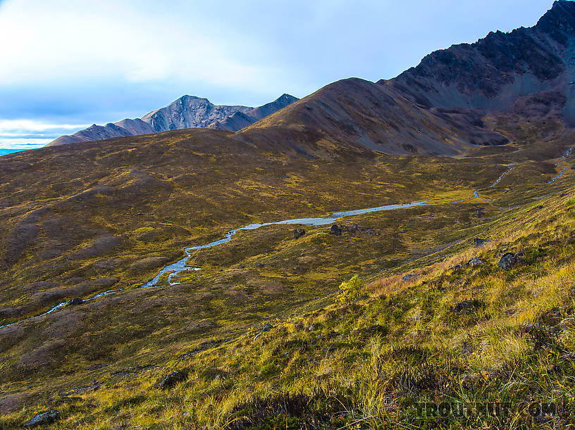  From Clearwater Mountains in Alaska.