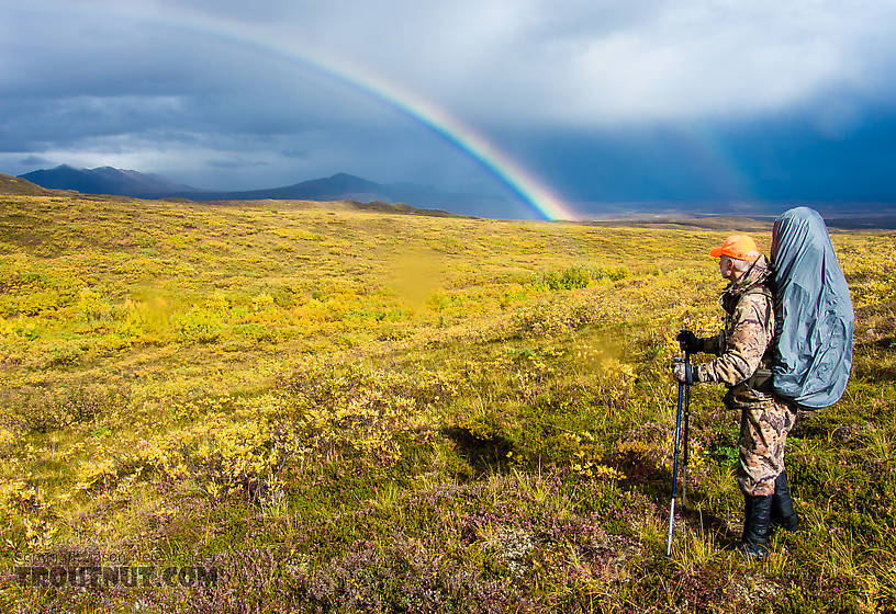  From Clearwater Mountains in Alaska.