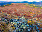 Sunny fall colors From Murphy Dome in Alaska.