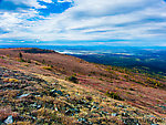 Sunny fall colors From Murphy Dome in Alaska.