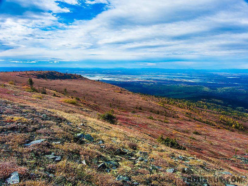 Sunny fall colors From Murphy Dome in Alaska.