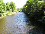  From Willowemoc Creek in New York.