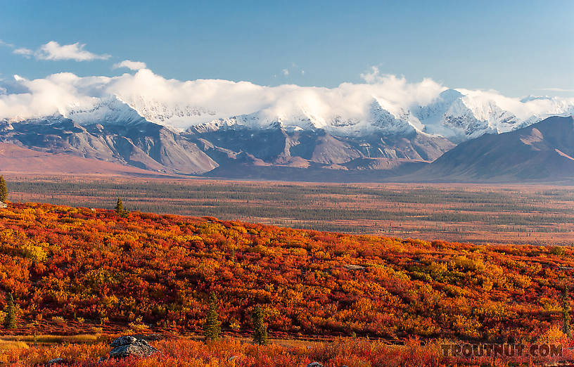  From Denali Highway in Alaska.