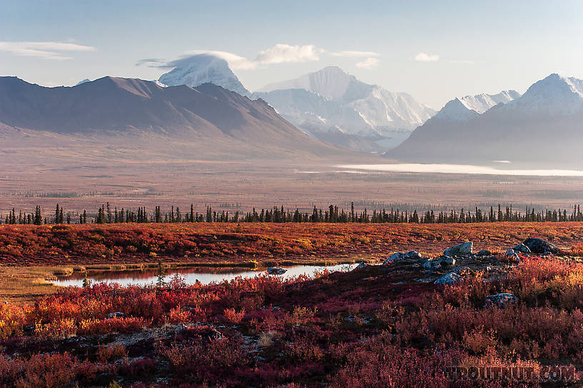 Mt Deborah (left) and Hess Mountain (right) From Denali Highway in Alaska.