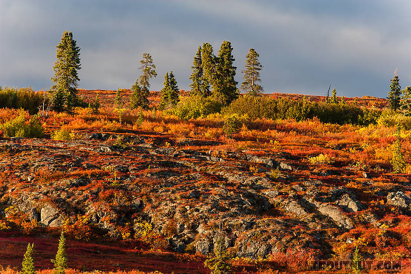  From Denali Highway in Alaska.