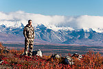 Troutnut in hunting mode. From Denali Highway in Alaska.