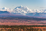 Mt Hayes From Denali Highway in Alaska.