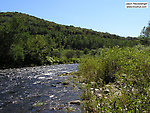  From Willowemoc Creek in New York.