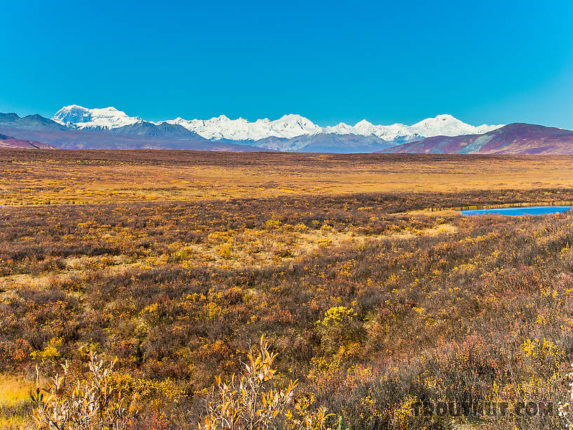 Alaska Range from Mile 52 Denali Highway. The left-most double peak is 12,510-foot Mt Shand (left) and 13,020-foot Mt Moffit (right). The other two tall peaks, middle and right, are unnamed (at least on Google Earth). The peak on the horizon about 2/3 of the way from Mt Moffit to the unnamed middle peak is 11,400-foot McGinnis Peak. From Denali Highway in Alaska.