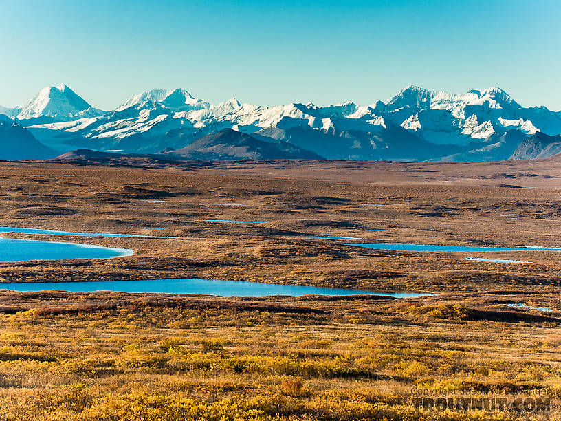 Kettle lakes and the Alaska Range From Denali Highway in Alaska.