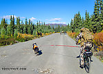 Riding in Valdez Creek road. We weren't the only ones with this idea. The Department of Fish & Game hotline mentioned that there were some caribou in an an area reachable from this road (several miles in), but it's in a non-motorized area. So people were accessing it via foot, bicycle, and even pack horse. Taiga found the horses very interesting. From Clearwater Mountains in Alaska.