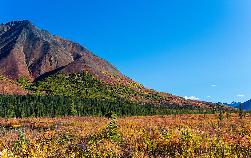  From Clearwater Mountains in Alaska.