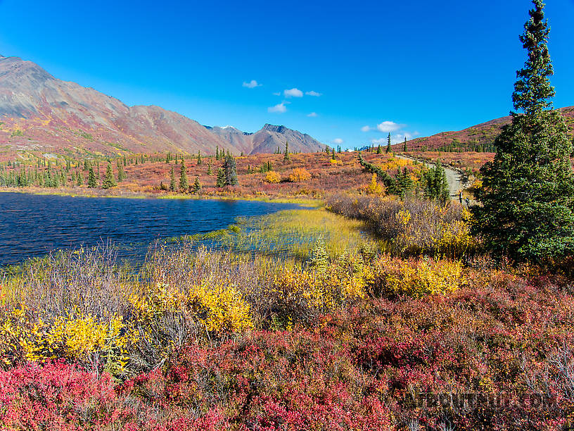 Lena overlooking a little lake by Windy Creek Road From Clearwater Mountains in Alaska.