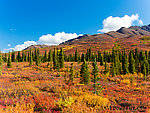 South side of the Windy Creek valley From Clearwater Mountains in Alaska.