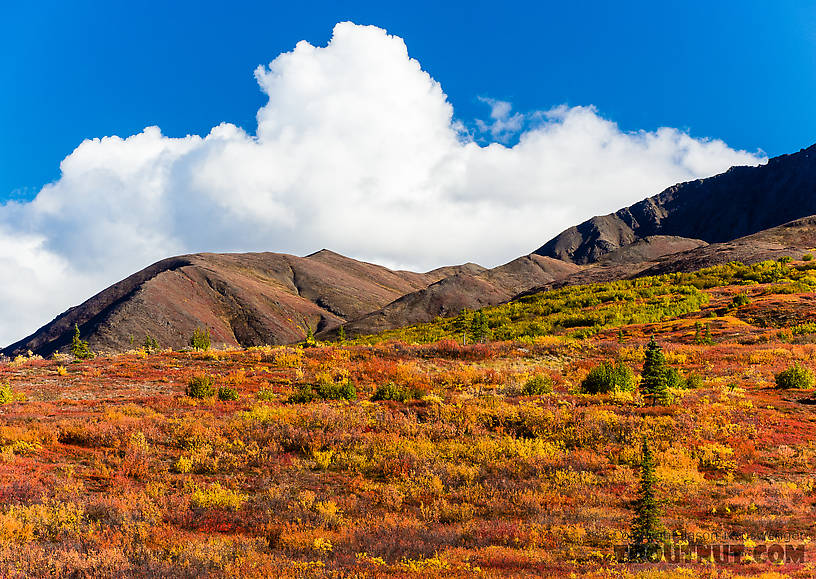  From Clearwater Mountains in Alaska.