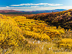 Beautiful yellow valley From Clearwater Mountains in Alaska.