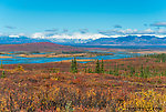 View of the Susitna River from Valdez Creek Road From the Susitna River in Alaska.