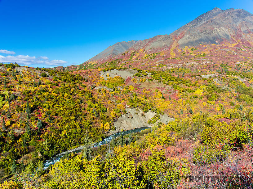 Windy Creek canyon From Windy Creek in Alaska.