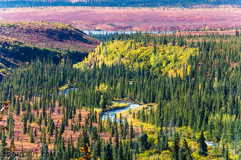 Windy Creek From Windy Creek in Alaska.