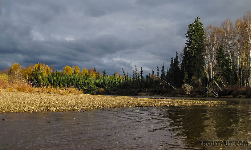  From the Chatanika River in Alaska.