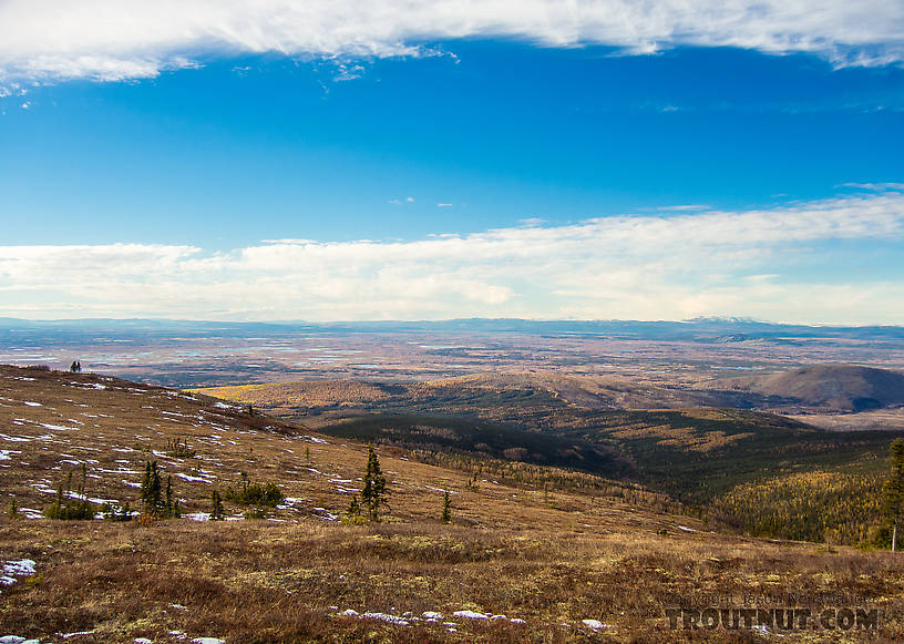 View over Minto Flats From Murphy Dome in Alaska.