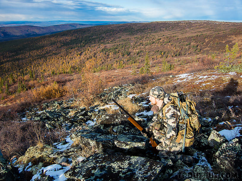 Camouflage From Murphy Dome in Alaska.