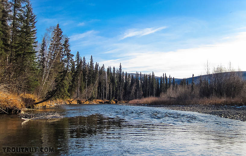 Floating down the North Fork From the Chena River in Alaska.