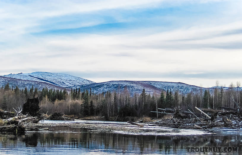  From the Chena River in Alaska.