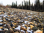 Snowy gravel bar From the Chena River in Alaska.