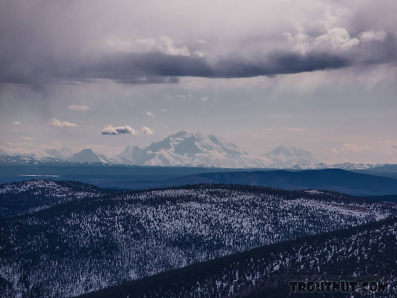 Denali from near Murphy Dome. This was the clearest view of the mountain I've ever had from this far away (150 miles). From Murphy Dome in Alaska.