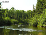  From the Namekagon River in Wisconsin.