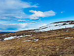 Abandoned ptarmigan habitat. I found a few white feathers from birds molting out of their winter plumage, but didn't see or hear any live ptarmigan. From Murphy Dome in Alaska.