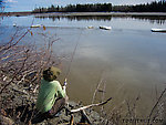 Trying for burbot. I've taken a few small ones on setlines in this eddy in the past, but never tried on rod and reel. There were no takers. From the Tanana River in Alaska.