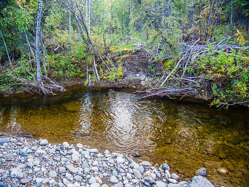  From Mystery Creek # 170 in Alaska.