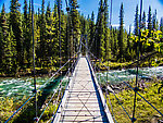  From Riley Creek in Alaska.